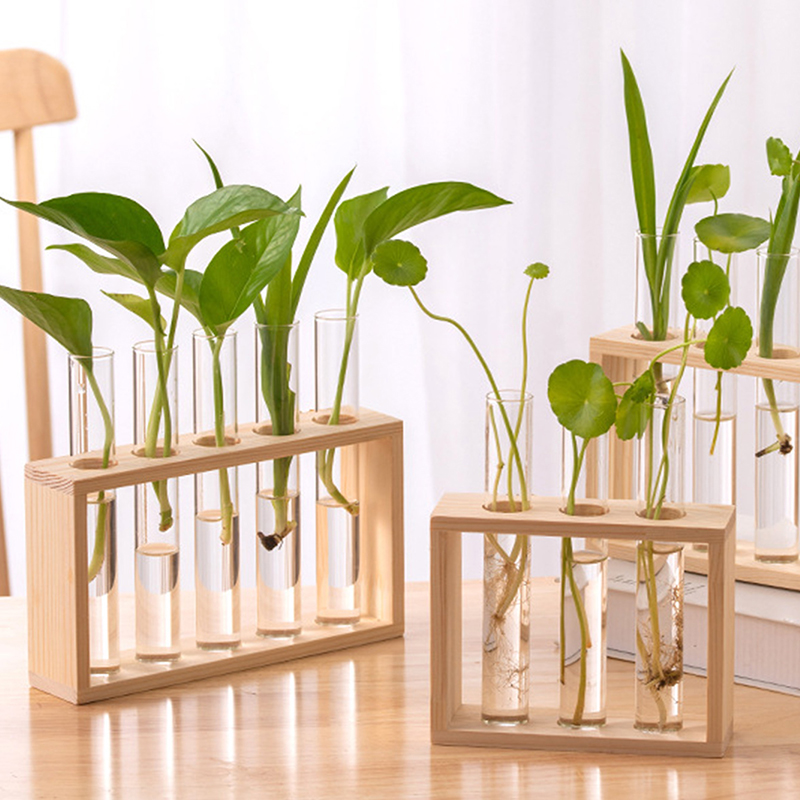 Propagation Station Vase - Hydroponic Plants Container with Wood Frame