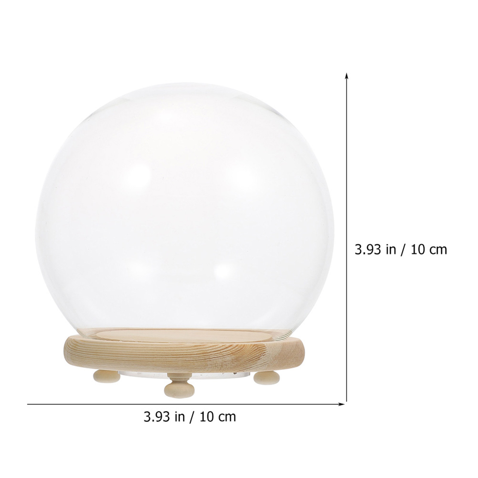 Clear Glass Dome Display Case  - Plastic Dome Clear ulasan dan harga