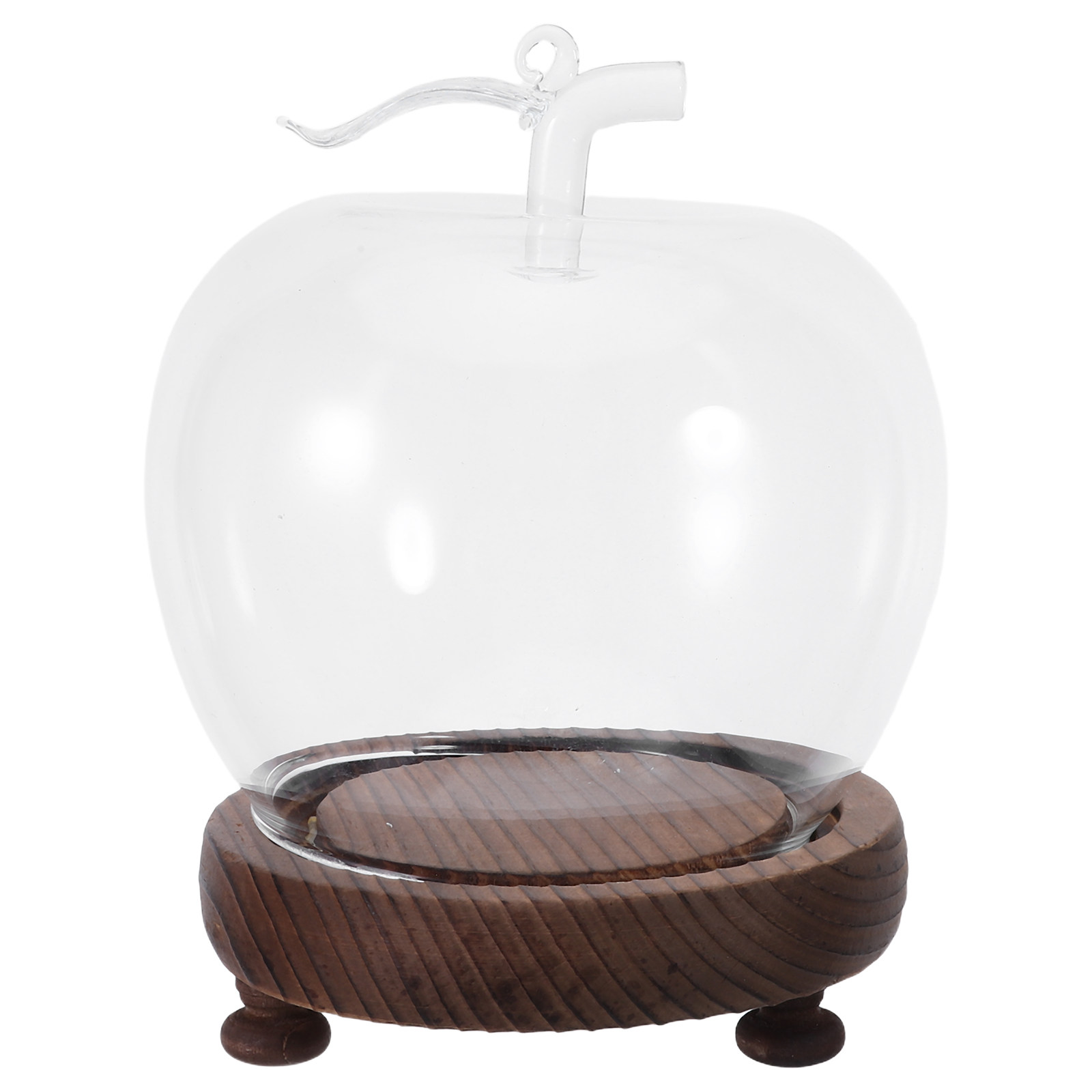 Glass Dome Cloche Clear Displa - Plastic Dome Clear ulasan dan harga