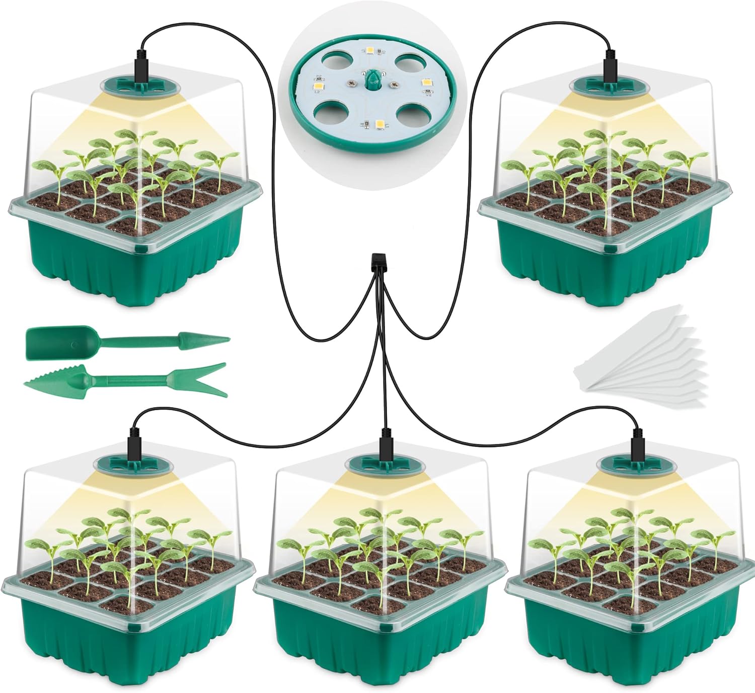 Seed Starter Tray with Grow Li - Humidity Dome Kit ulasan dan harga