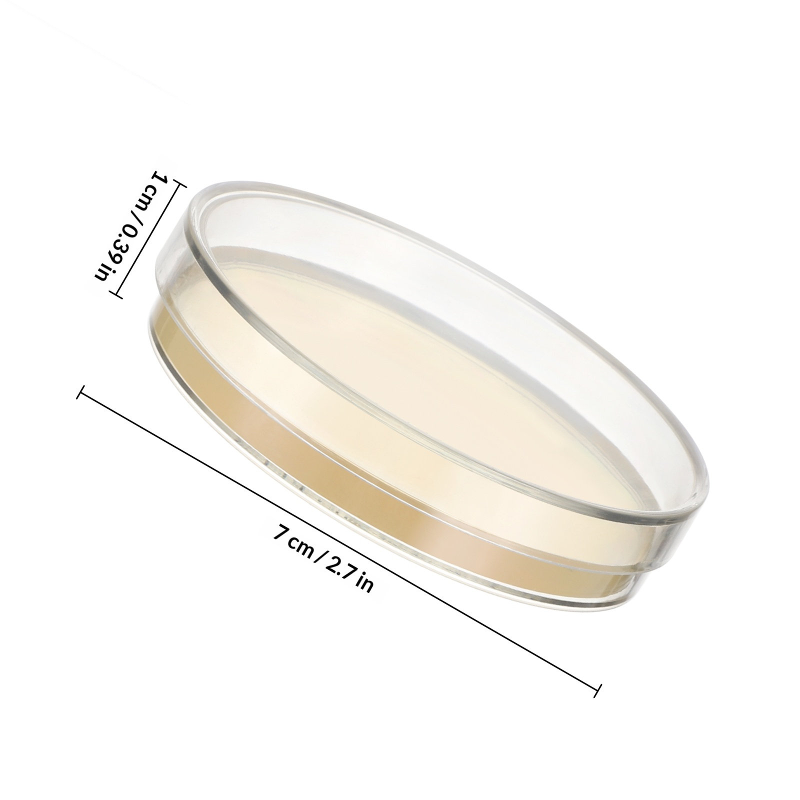 Agar Plates 10pcs Ready to Use - Agar Tissue Culture ulasan dan harga