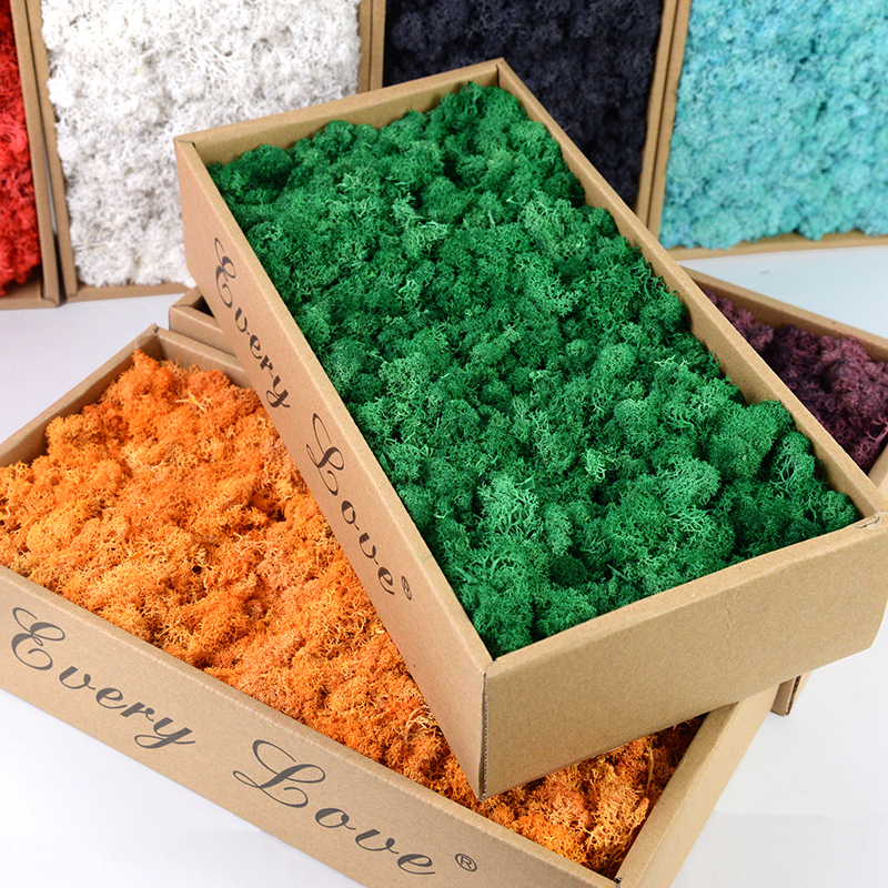 40/20g Artificial Immortal Mos - Sphagnum Moss Dry ulasan dan harga