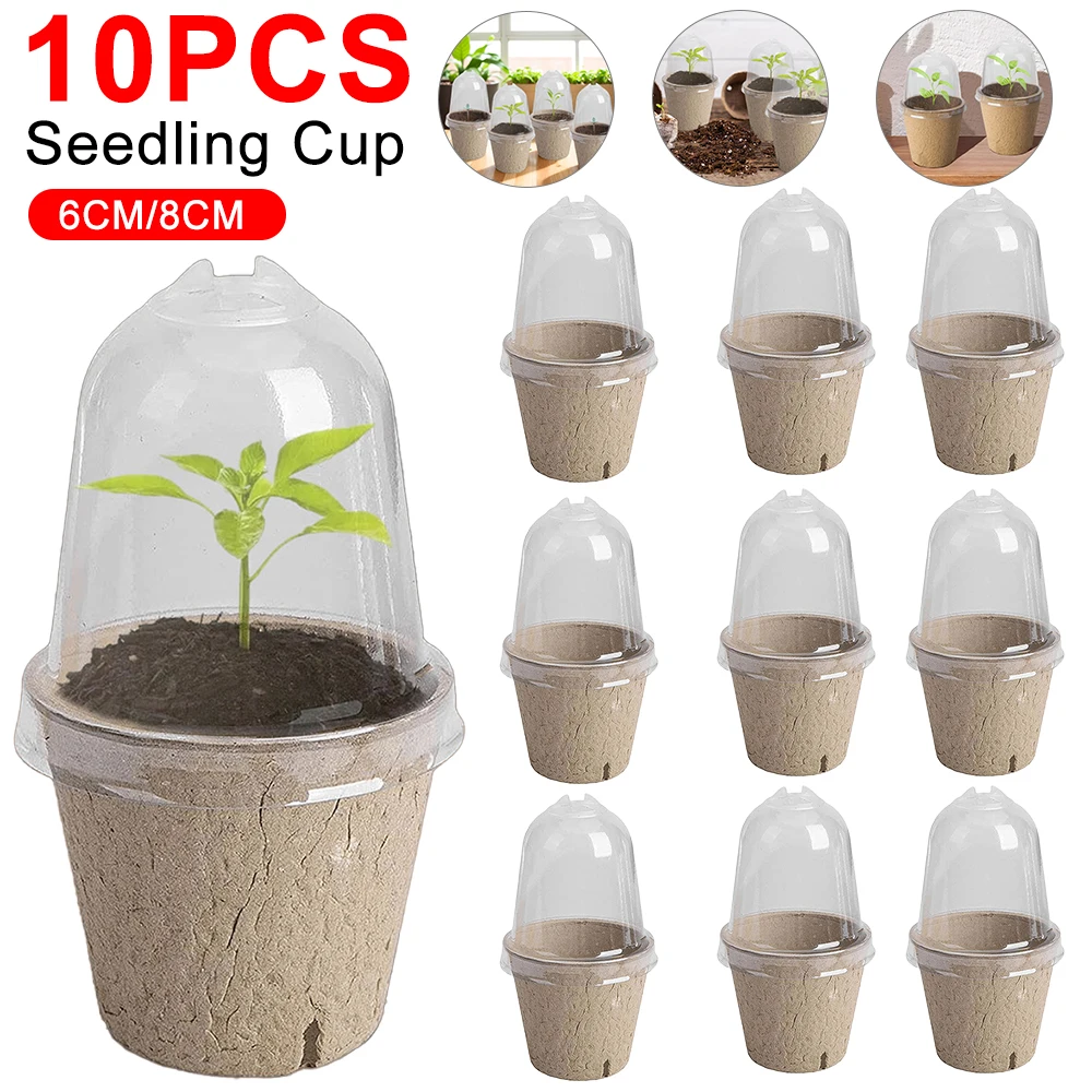 10pcs Garden Round Peat Pots P - Peat Pellet Tray ulasan dan harga
