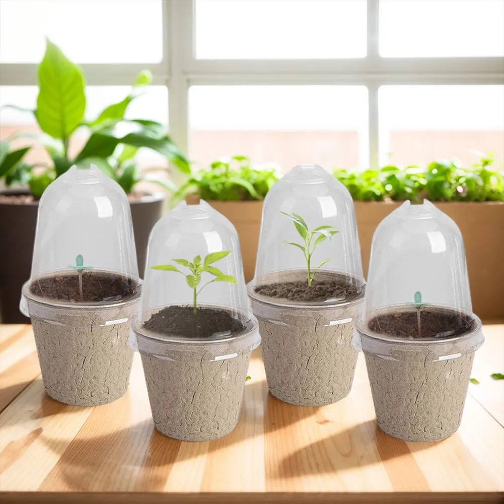 10pcs Garden Round Peat Pots P - Peat Pellet Tray ulasan dan harga