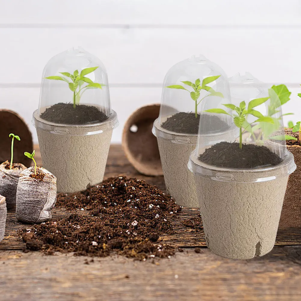 10pcs Garden Round Peat Pots P - Peat Pellet Tray ulasan dan harga