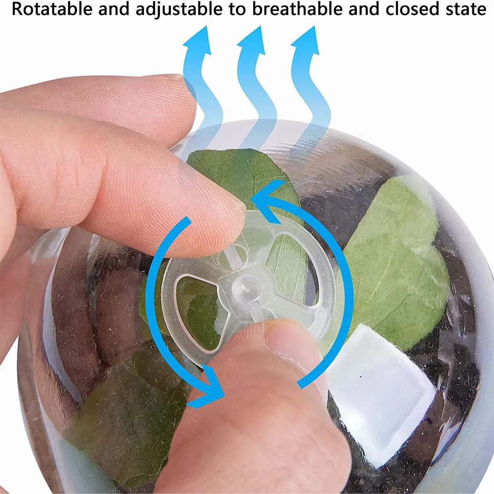 10pcs Garden Round Peat Pots P - Peat Pellet Tray ulasan dan harga