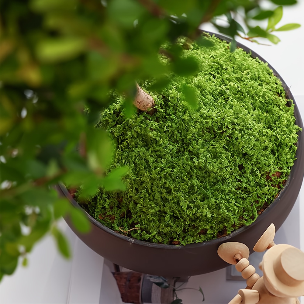 1pack Artificial Fake Moss, 1. - Sphagnum Moss Dry ulasan dan harga