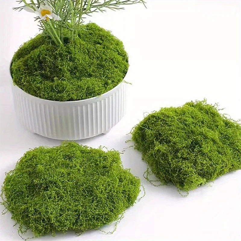 1 \ 5 \ 8 pcs artificial simul - Sphagnum Moss Dry ulasan dan harga