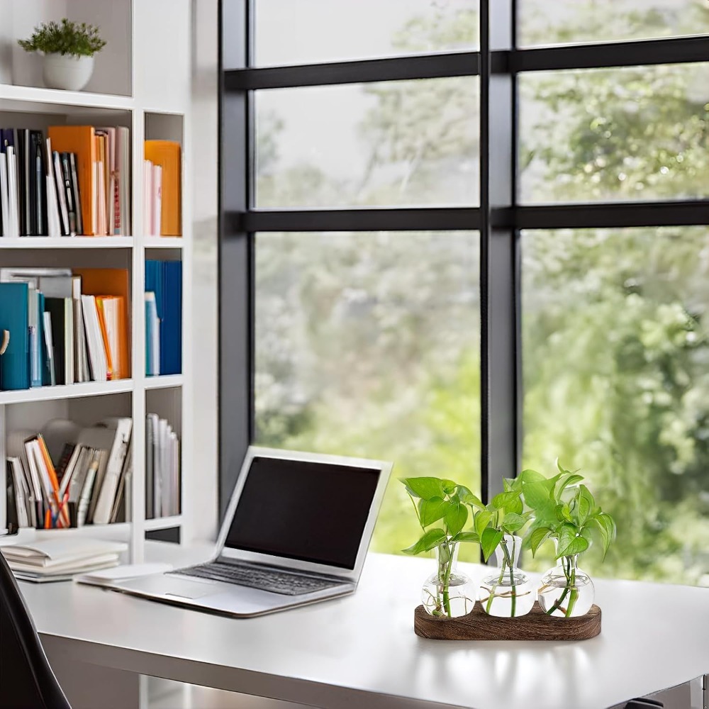 Desktop Plant Propagation Stat - Propagation Station Vase ulasan dan harga