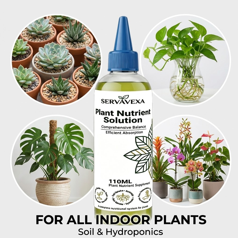 Plant  Nutrient Solution Rapid - Root Stimulator Liquid ulasan dan harga