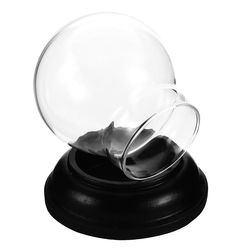 Empty Fillable Glass Snow Glob - Plastic Dome Clear ulasan dan harga
