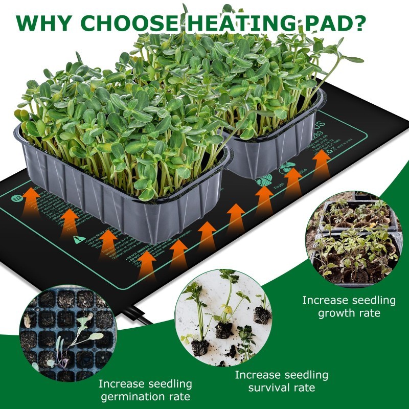 Seedling Heating Mat  Indoor P - Rooting Gel Clone ulasan dan harga