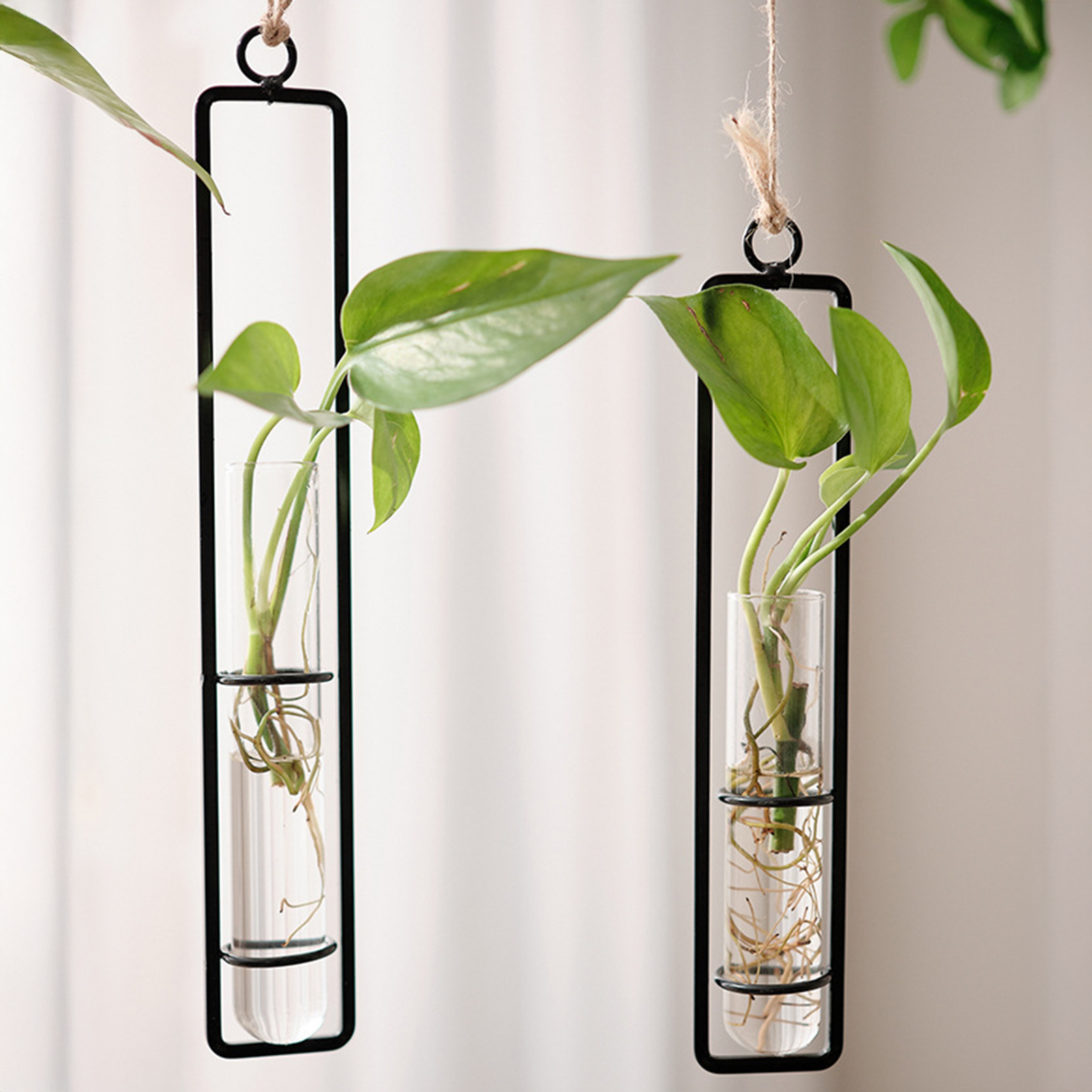 Wall Hanging Glass Vase Europe - Propagation Station Vase ulasan dan harga