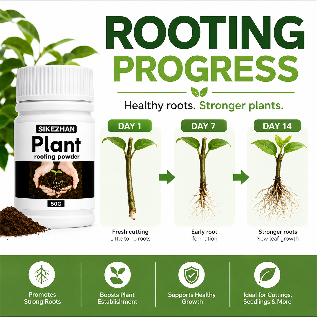 50g Rapid Rooting Powder Plant - Rooting Hormone Powder ulasan dan harga