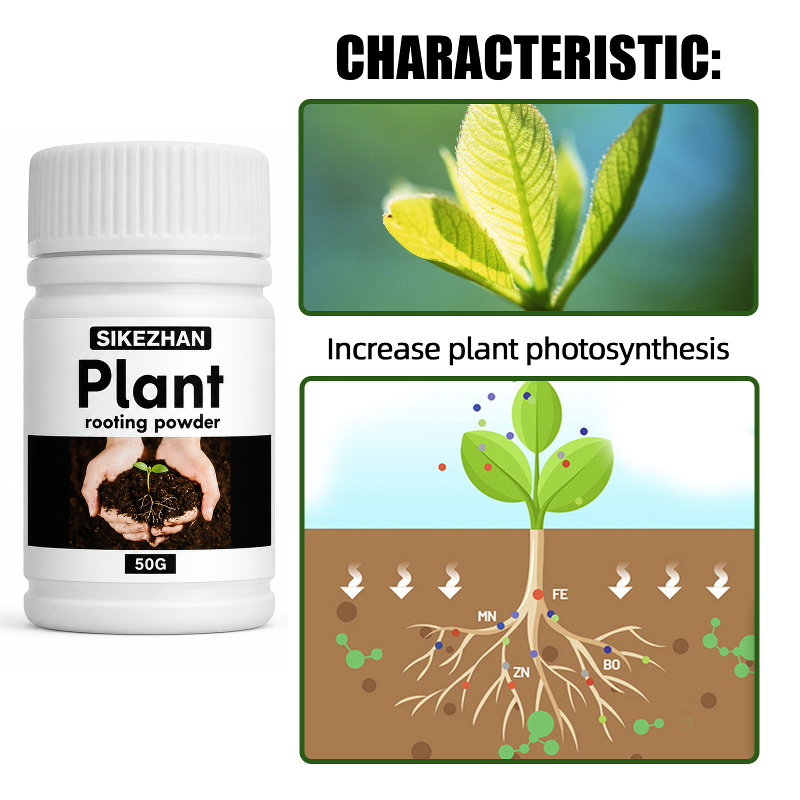 50g Rapid Rooting Powder Plant - Rooting Hormone Powder ulasan dan harga