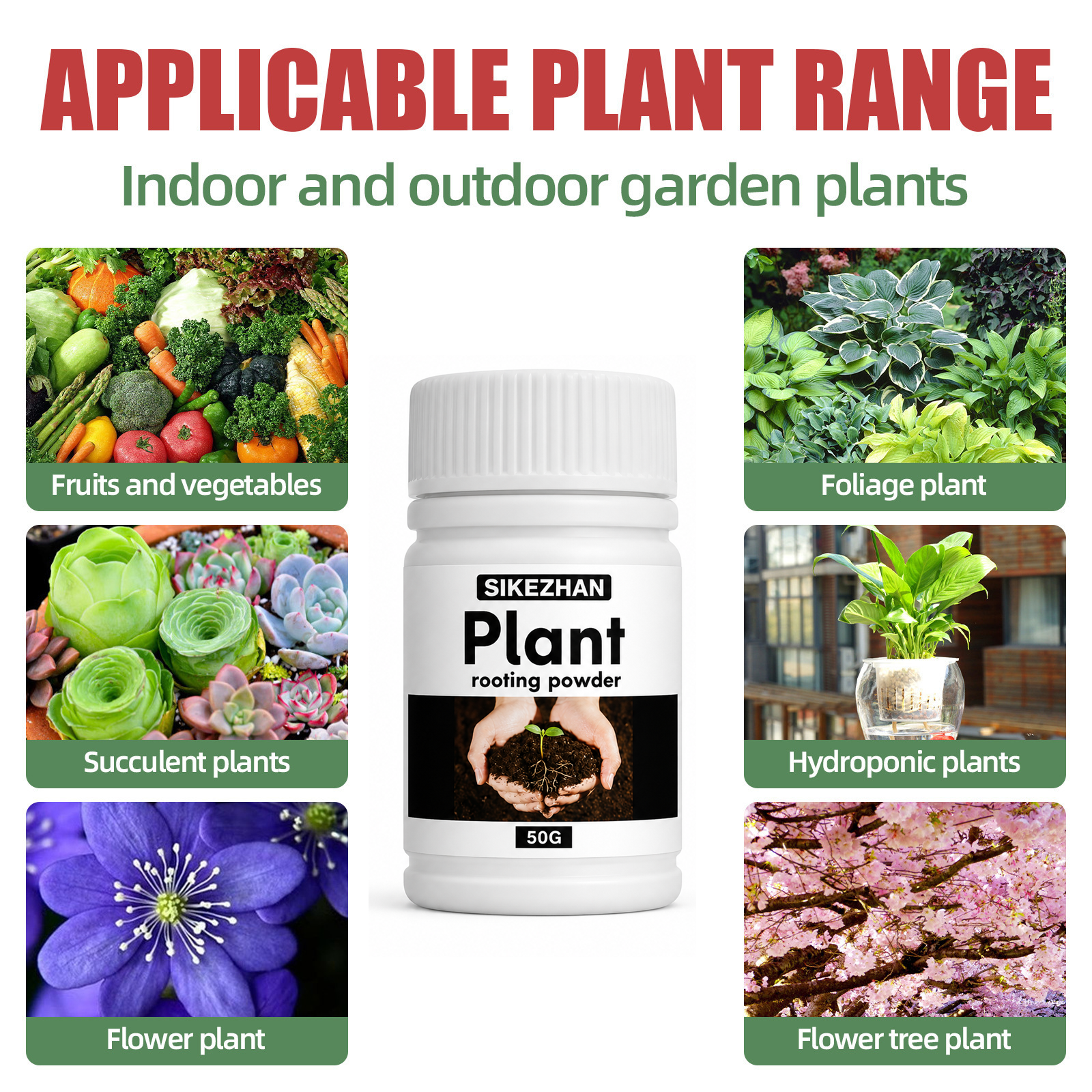 50g Rapid Rooting Powder Plant - Rooting Hormone Powder ulasan dan harga