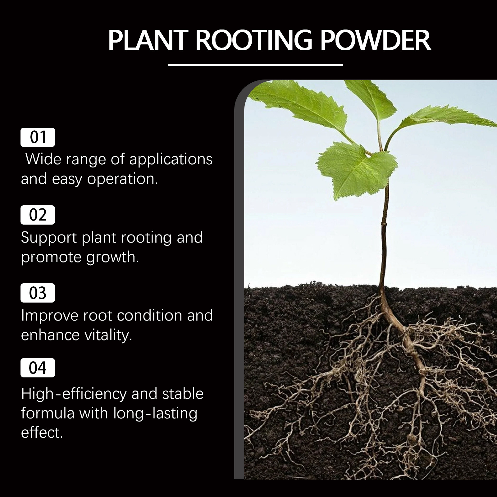 50g Rapid Rooting Powder Plant - Rooting Hormone Powder ulasan dan harga