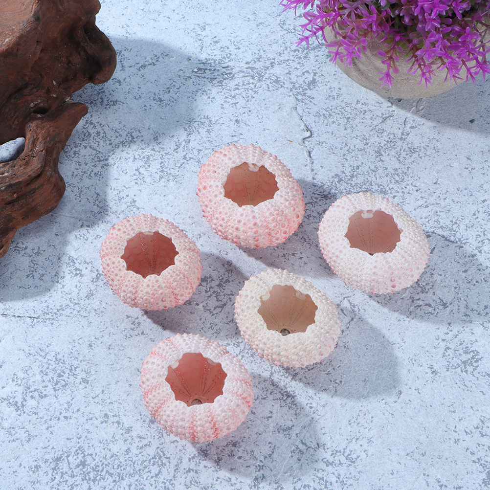 10Pcs DIY Jewelry Making Sea S - Propagation Station Vase ulasan dan harga
