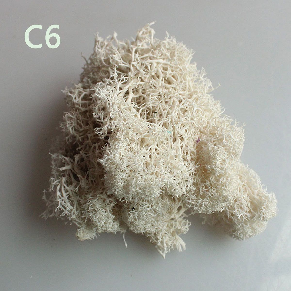 Wedding Accessories Wedding Fl - Sphagnum Moss Dry ulasan dan harga