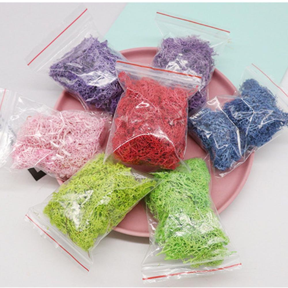 Wedding Accessories Wedding Fl - Sphagnum Moss Dry ulasan dan harga