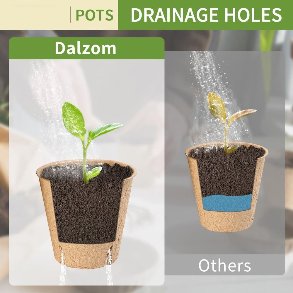 50PCS Biodegradable Plant Star - Peat Pellet Tray ulasan dan harga