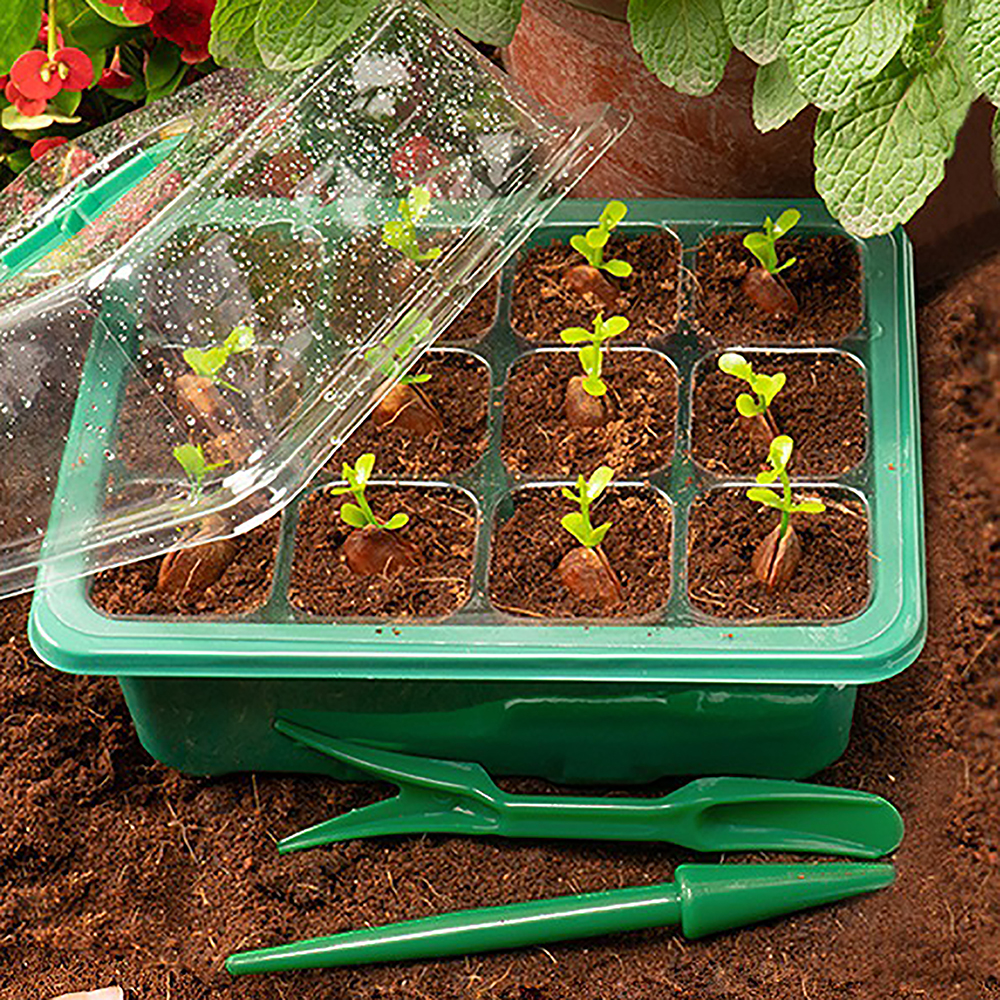Seed Starter Trays with Grow L - Humidity Dome Kit ulasan dan harga