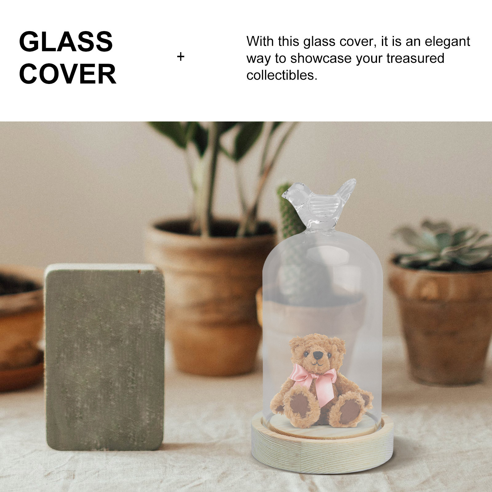 1Pcs Mini Glass Dome Cover Bir - Plastic Dome Clear ulasan dan harga