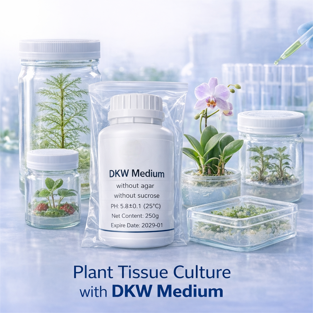 DKW Medium Plant Tissue Cultur - Agar Tissue Culture ulasan dan harga