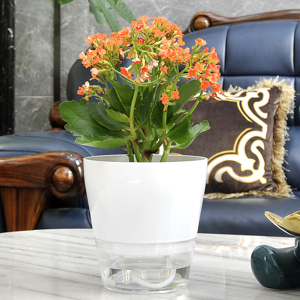 Lazy Flower with Drainage Hole - Self Watering Insert ulasan dan harga