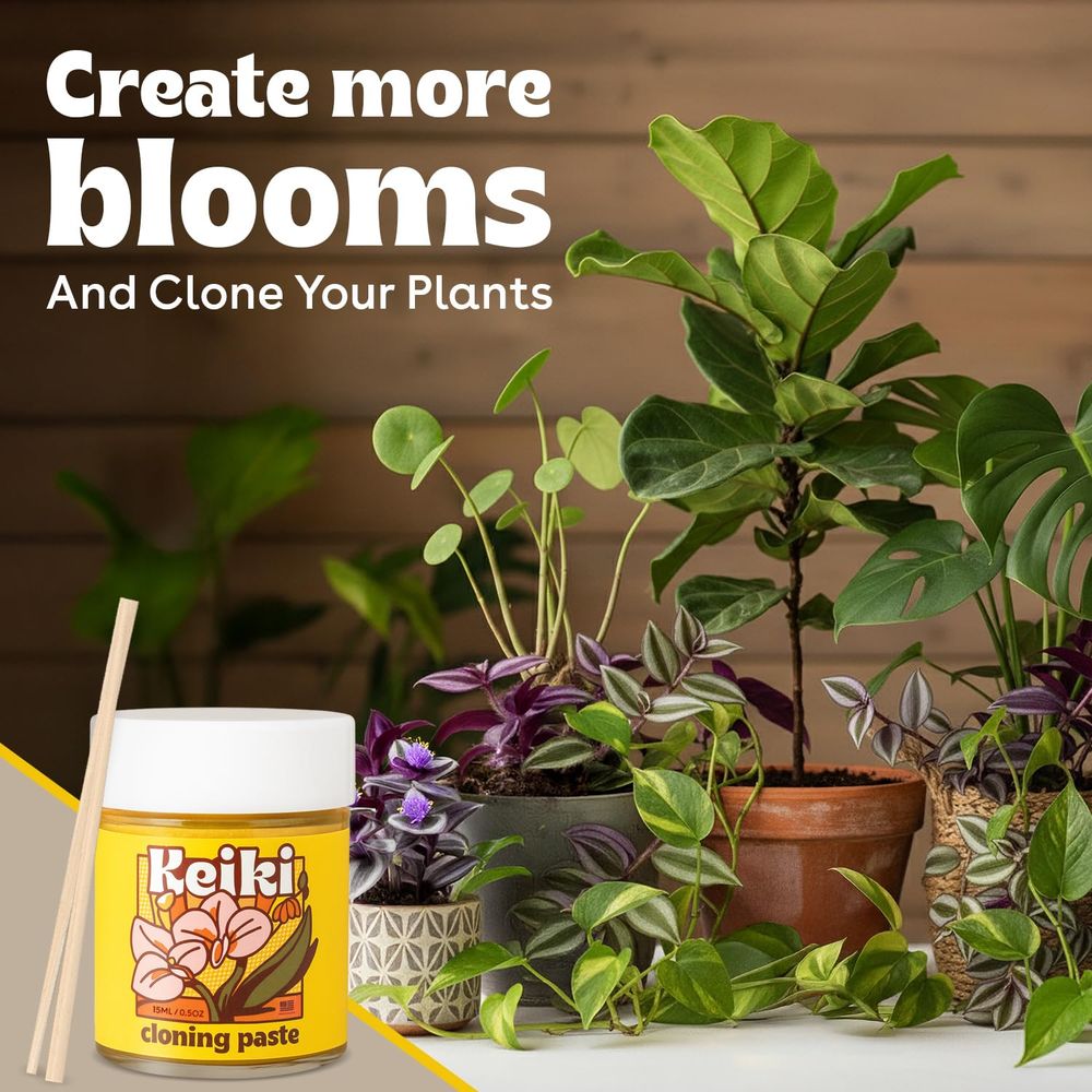 Paste or Plants to Clone & Cre - Rooting Gel Clone ulasan dan harga