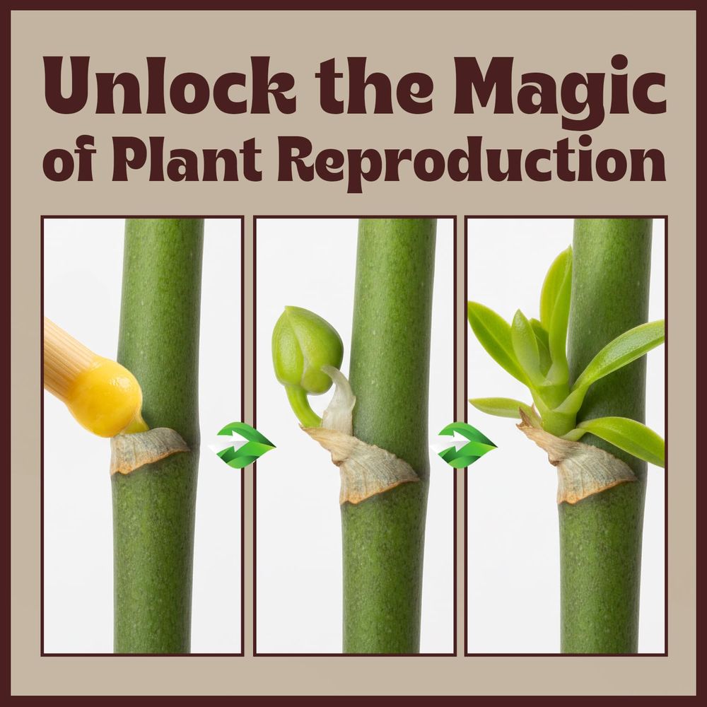 Paste or Plants to Clone & Cre - Rooting Gel Clone ulasan dan harga