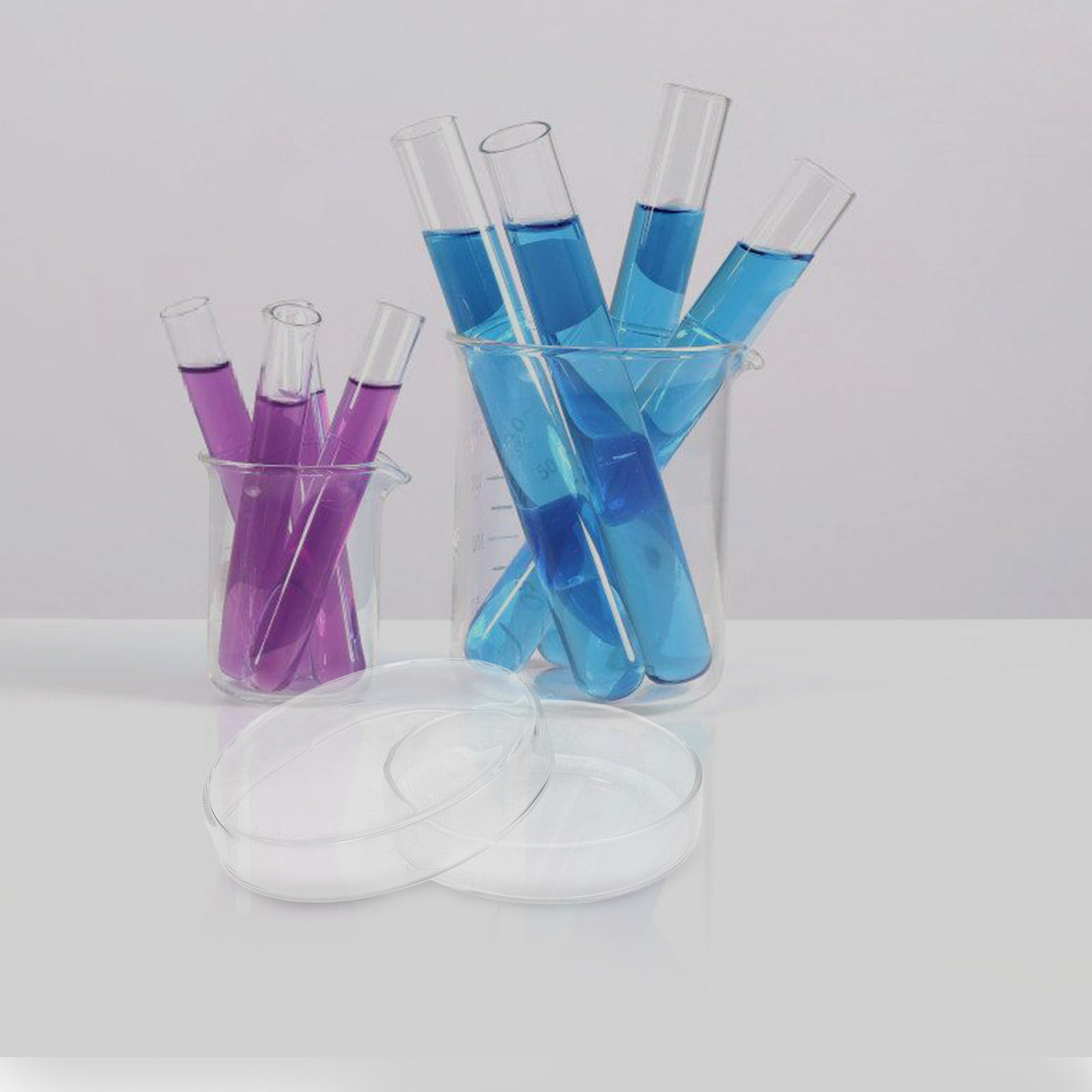 Glass Petri Dish High Borosili - Agar Tissue Culture ulasan dan harga