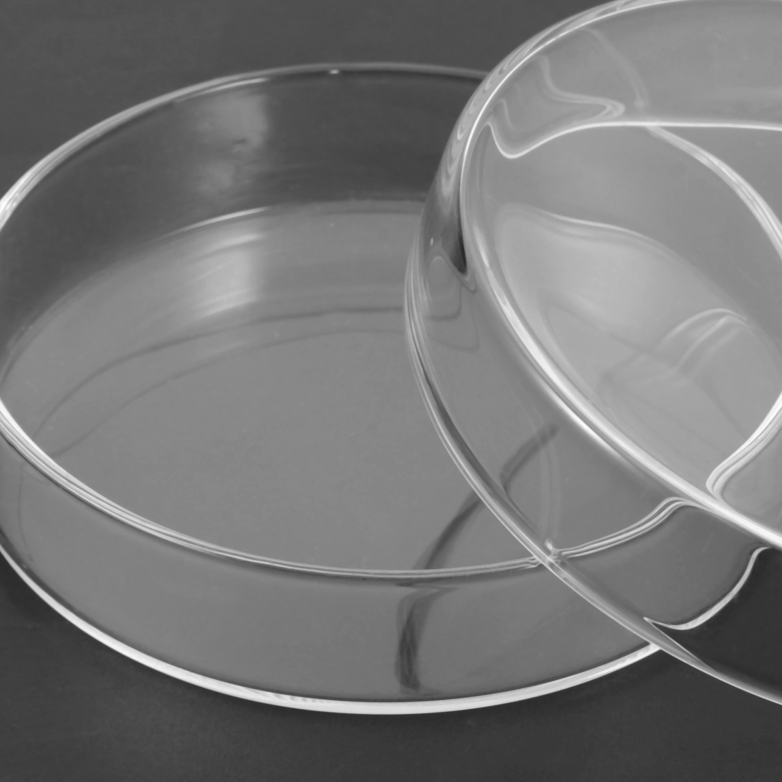 Glass Petri Dish High Borosili - Agar Tissue Culture ulasan dan harga
