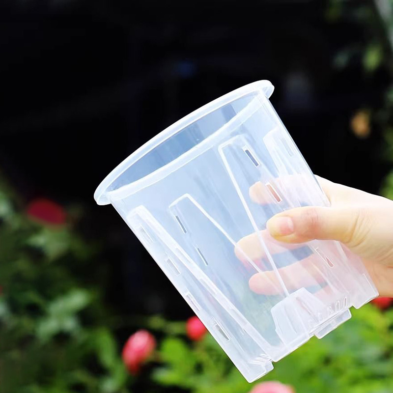 12cm for orchid Plant grow  Po - Self Watering Insert ulasan dan harga