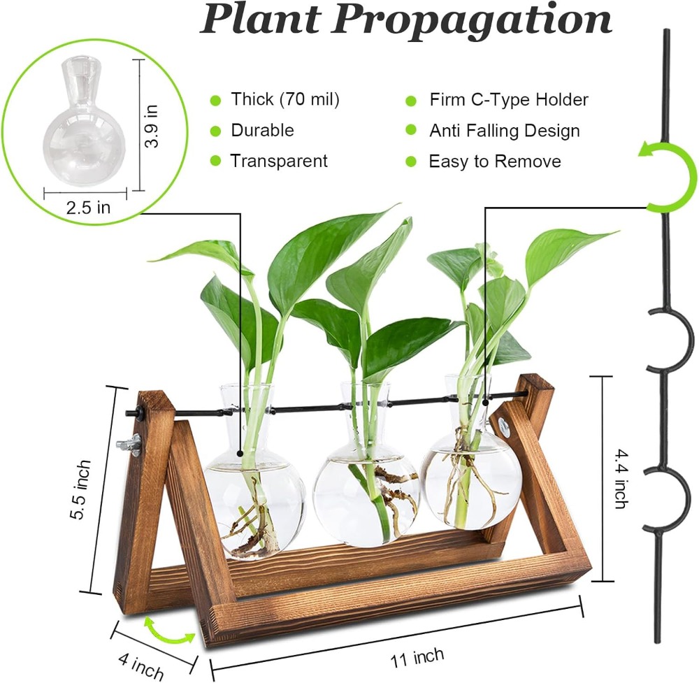Plant Propagation Station with - Propagation Station Vase ulasan dan harga