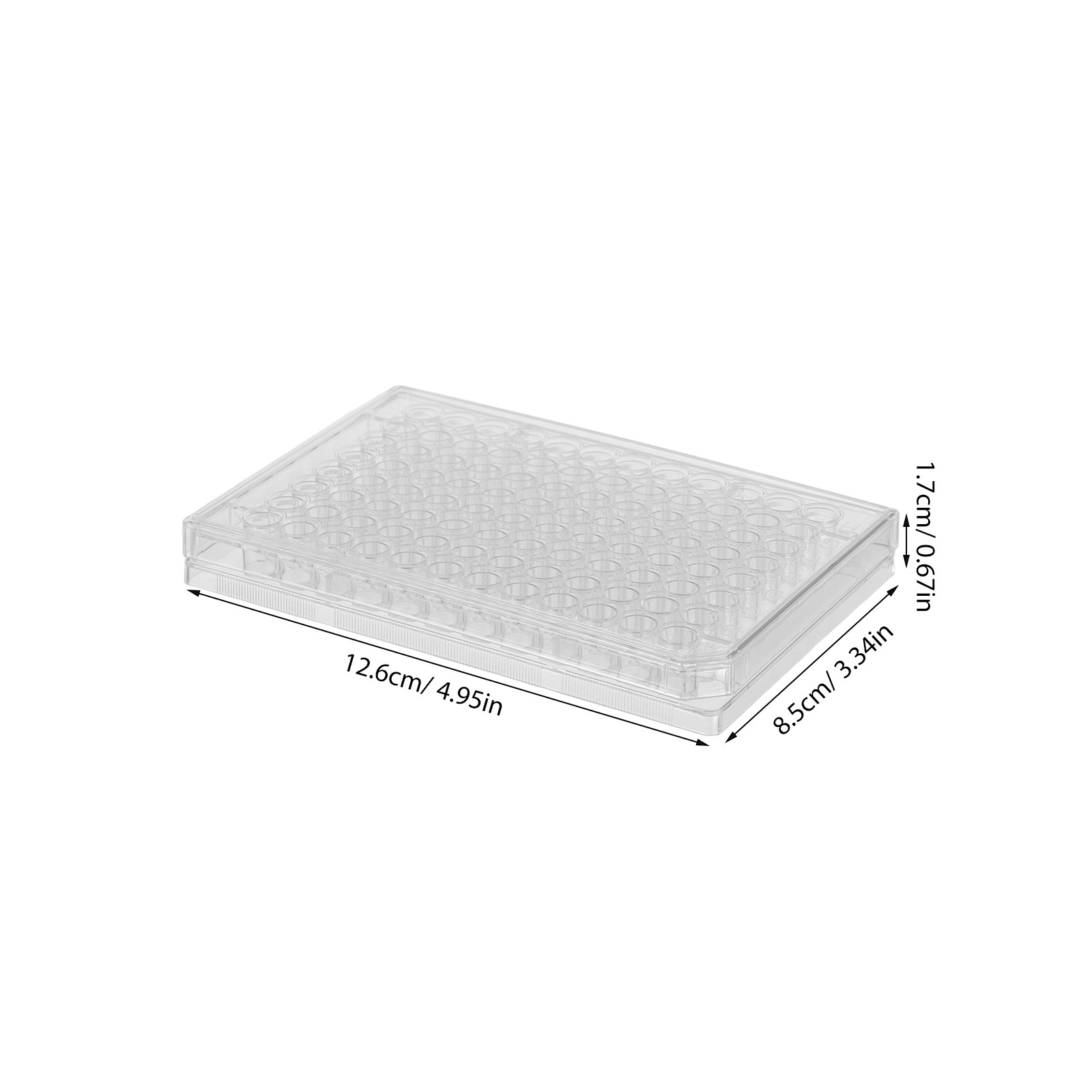10Pcs Cell Culture Plates Tran - Agar Tissue Culture ulasan dan harga