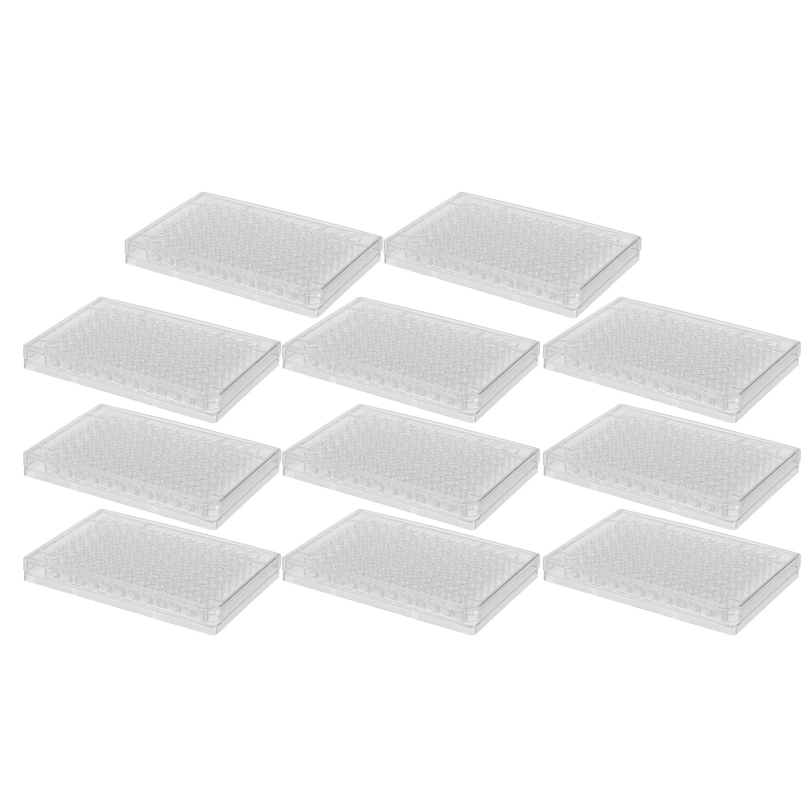 10Pcs Cell Culture Plates Tran - Agar Tissue Culture ulasan dan harga