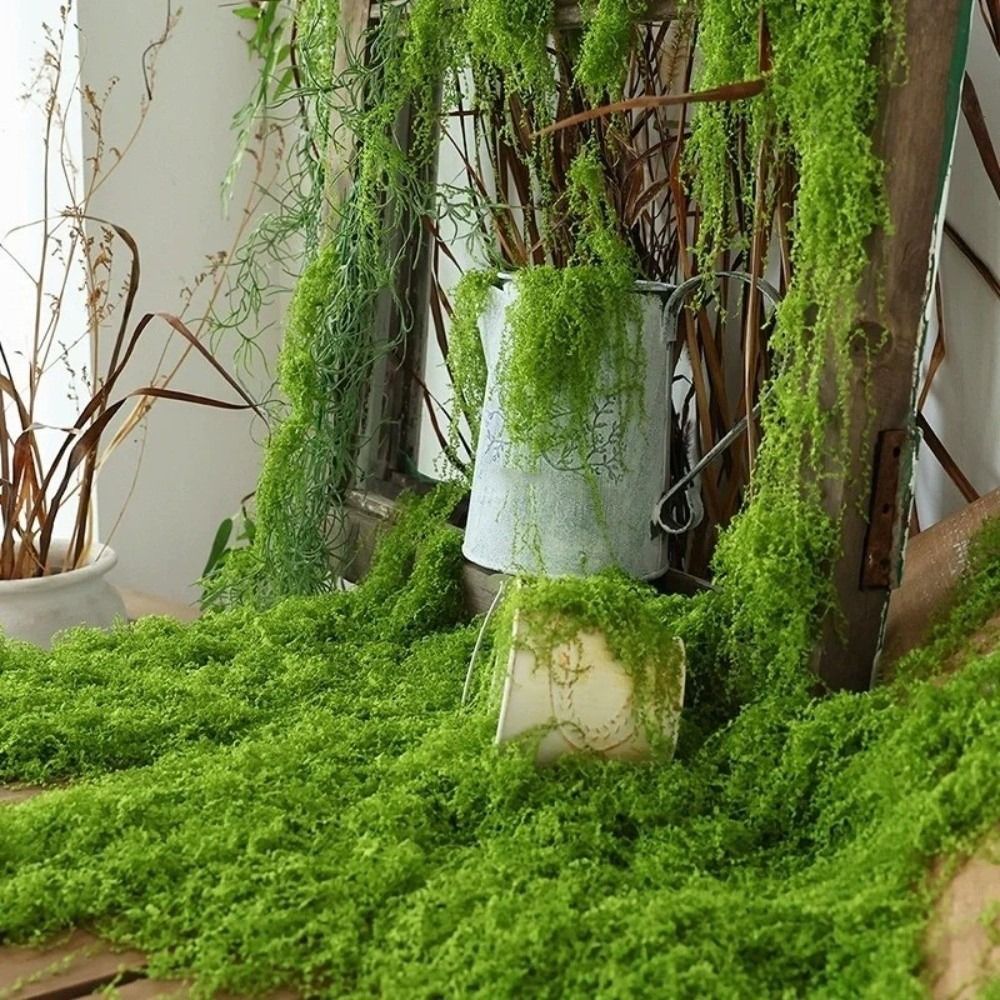 DIY Artificial Grass Rug Durab - Sphagnum Moss Dry ulasan dan harga