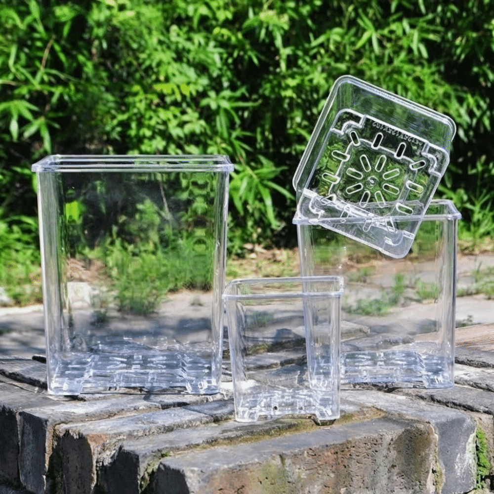 Transparent Material Acrylic P - Self Watering Insert ulasan dan harga