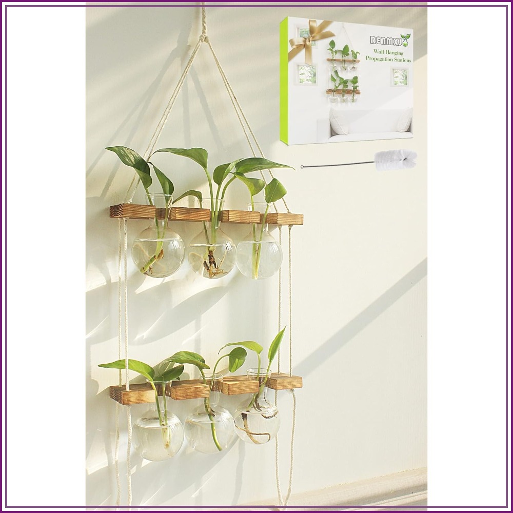 Wall Hanging Plant Propagation - Propagation Station Vase ulasan dan harga