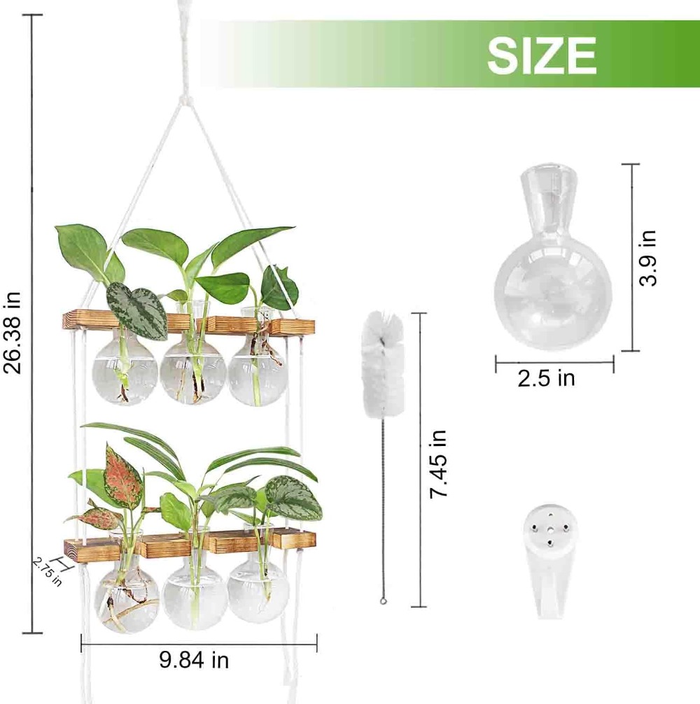 Wall Hanging Plant Propagation - Propagation Station Vase ulasan dan harga