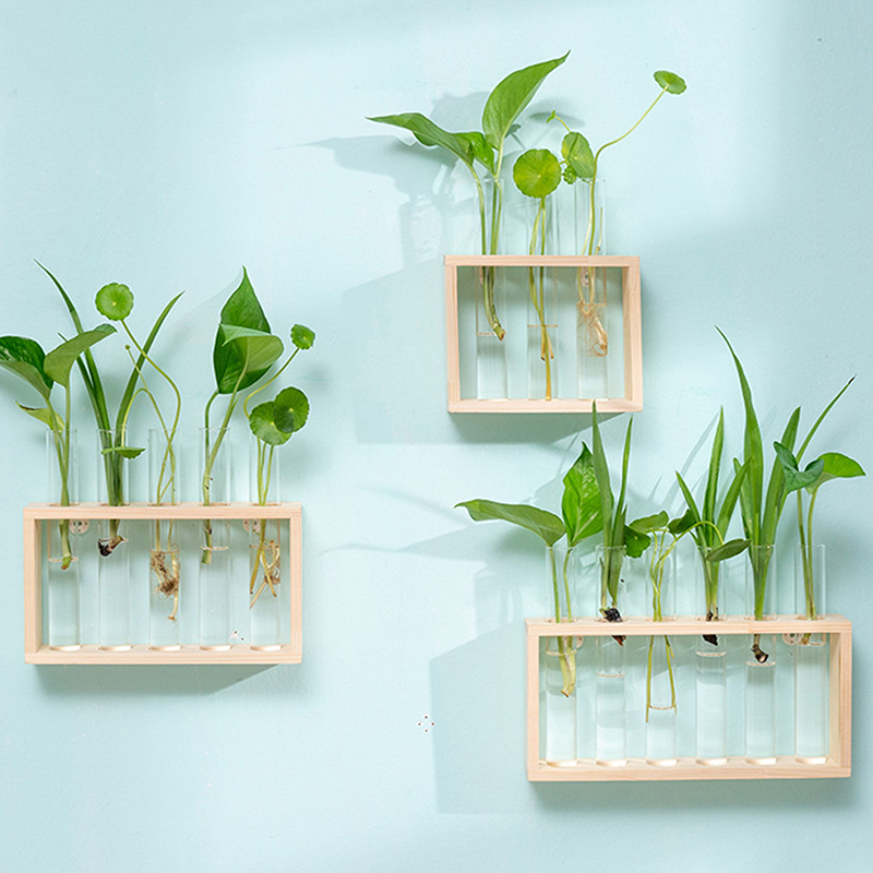 Hydroponic Plants Container wi - Propagation Station Vase ulasan dan harga