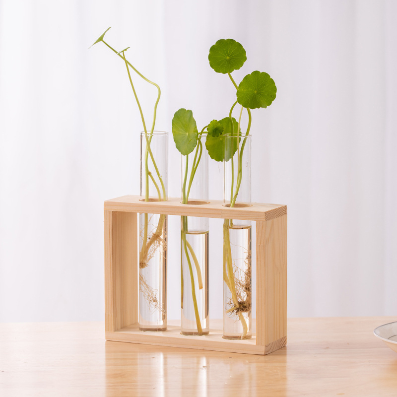 Hydroponic Plants Container wi - Propagation Station Vase ulasan dan harga