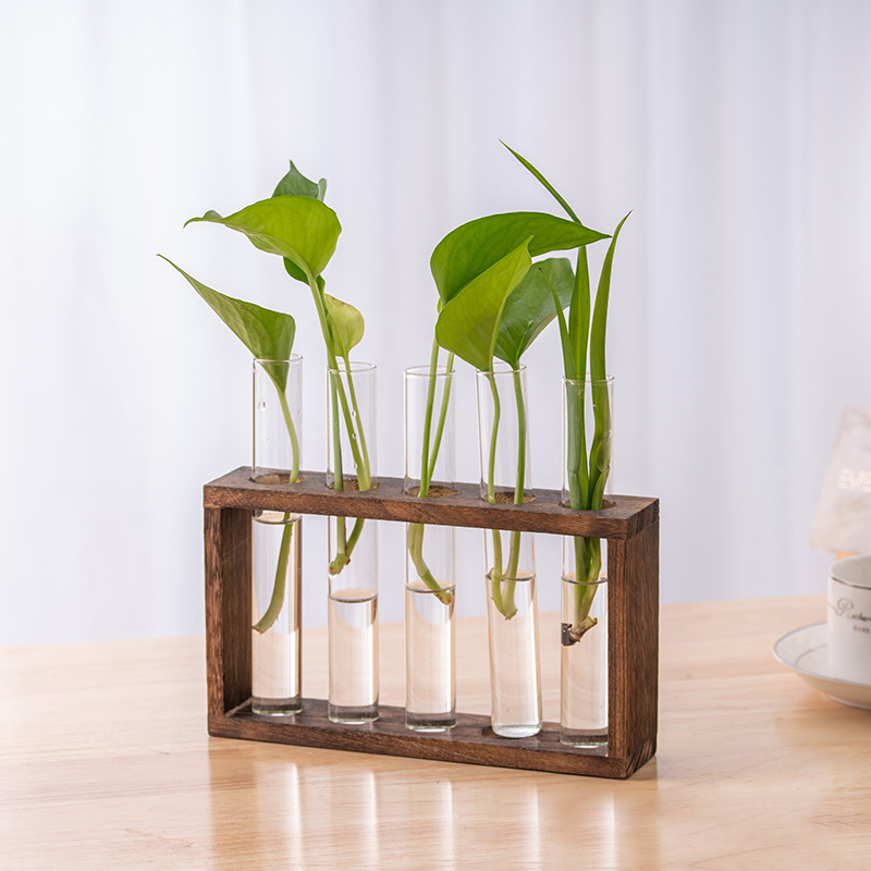 Hydroponic Plants Container wi - Propagation Station Vase ulasan dan harga