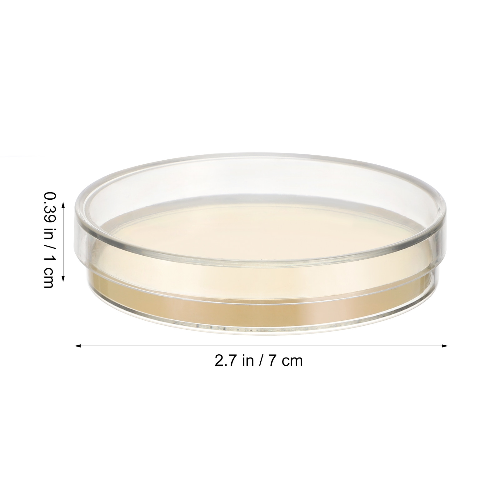 10pcs Pre-filled Agar Plates P - Agar Tissue Culture ulasan dan harga