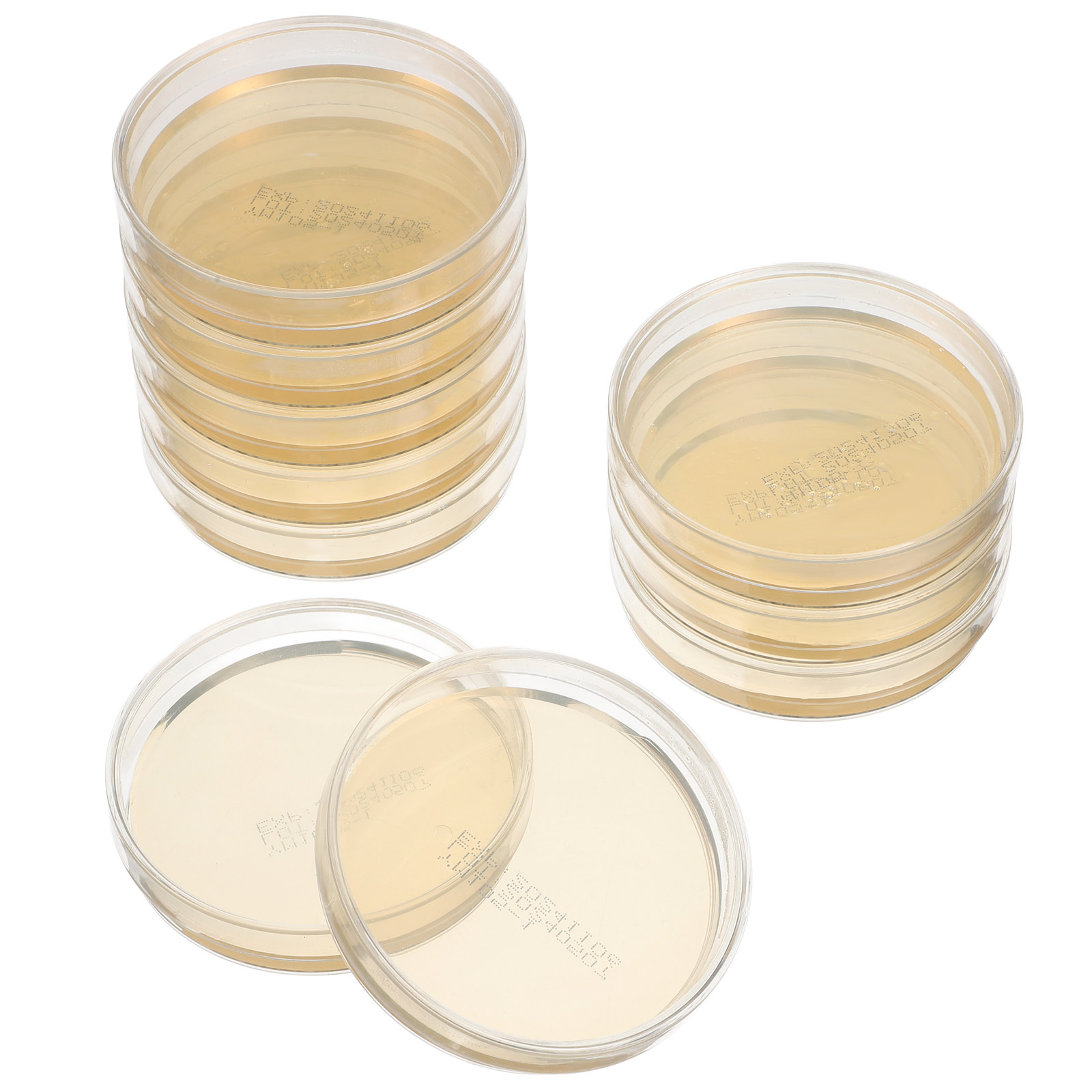 10pcs Pre-filled Agar Plates P - Agar Tissue Culture ulasan dan harga