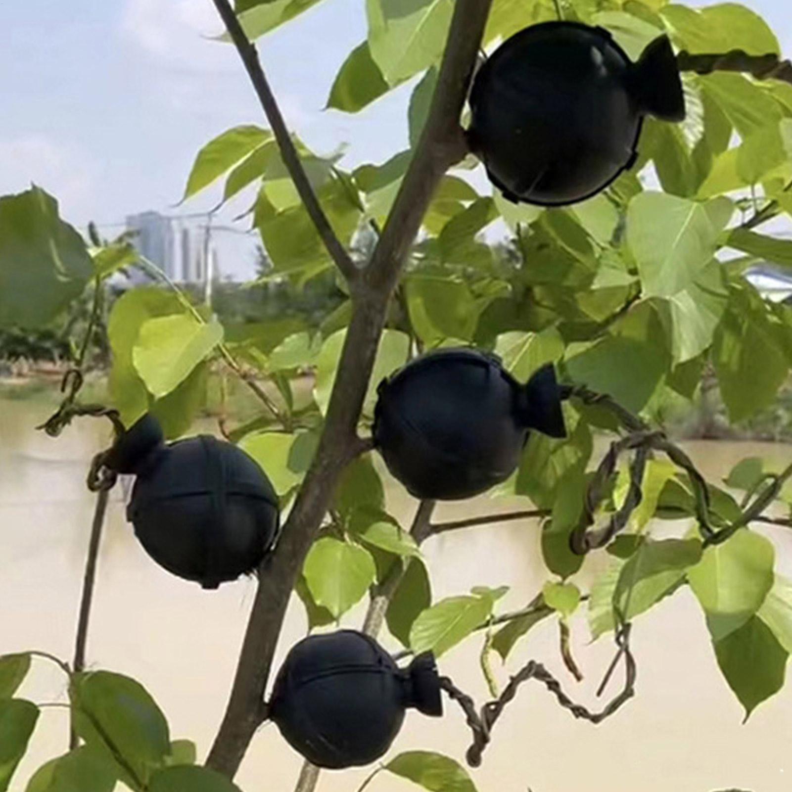 Garden Orchard Plants Grafting - Rooting Gel Clone ulasan dan harga
