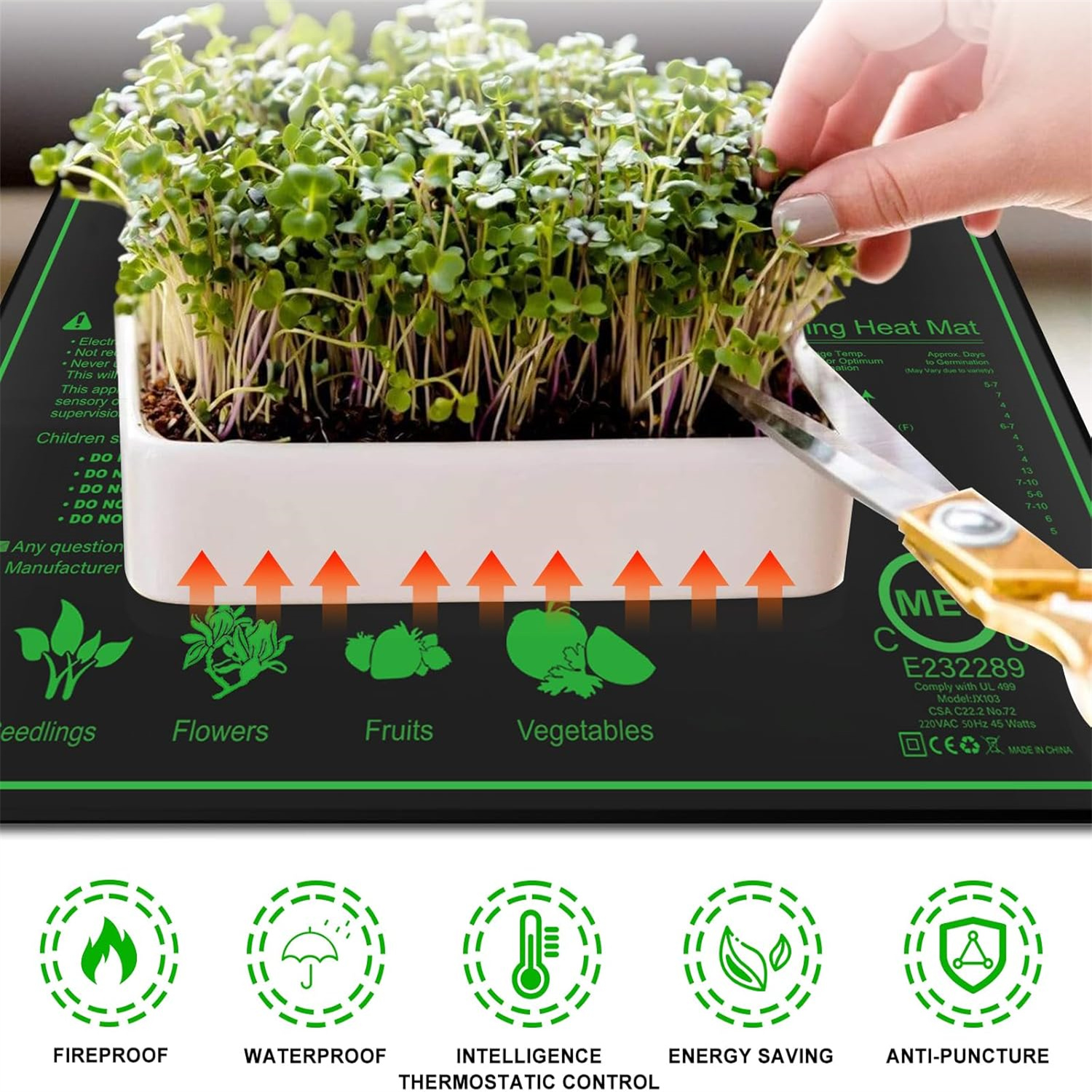 Seedling Heat Mat 10/25/50CM I - Rooting Gel Clone ulasan dan harga