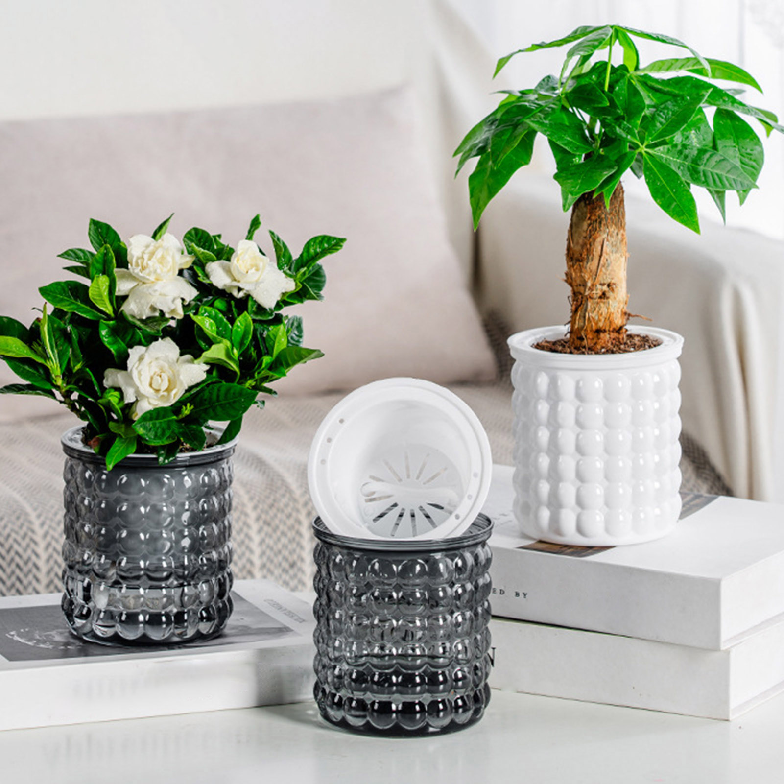 Self Watering Flowerpot Hydrop - Self Watering Insert ulasan dan harga