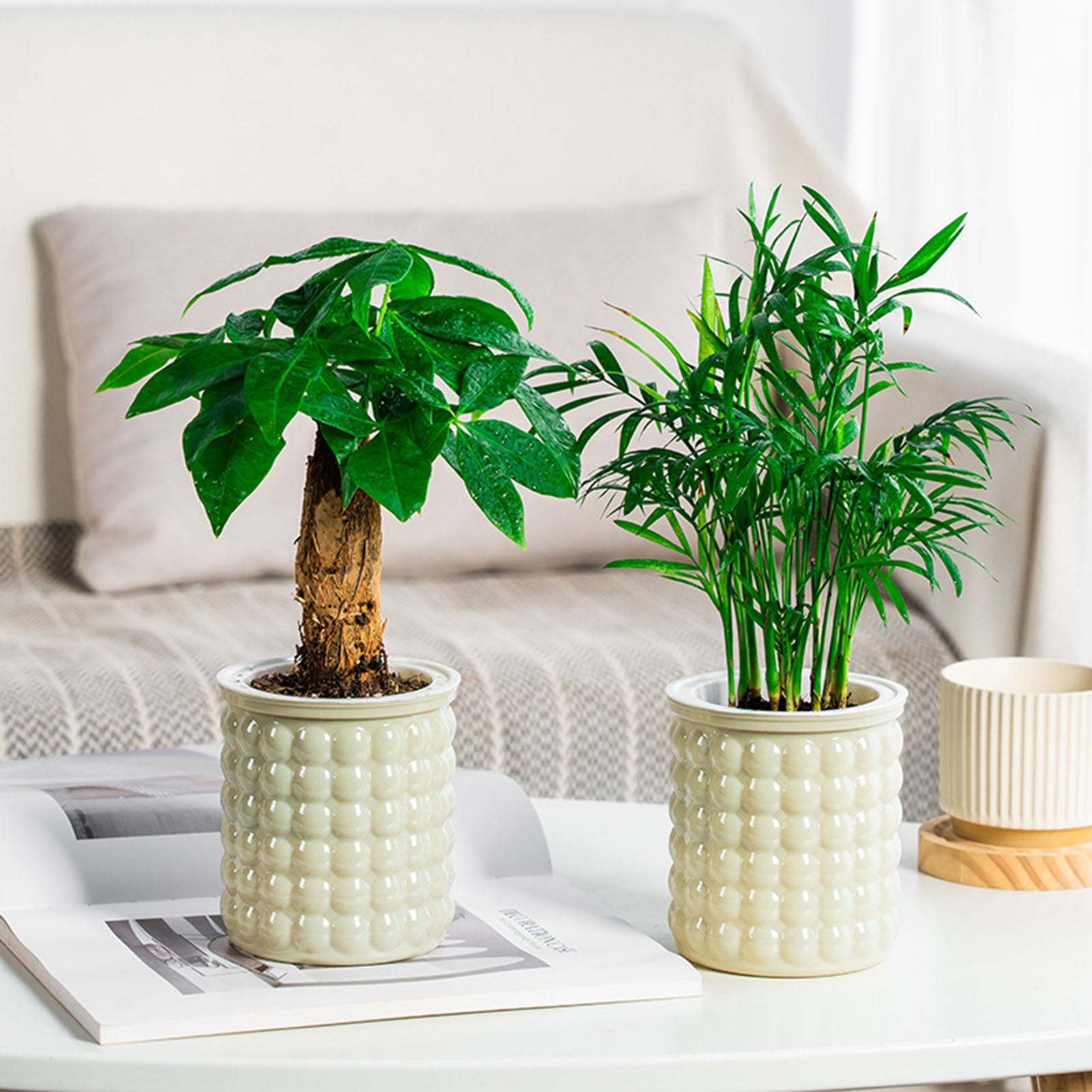 Self Watering Flowerpot Hydrop - Self Watering Insert ulasan dan harga